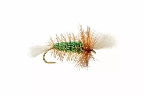 Wulff Pinta-Bomber - Image 5