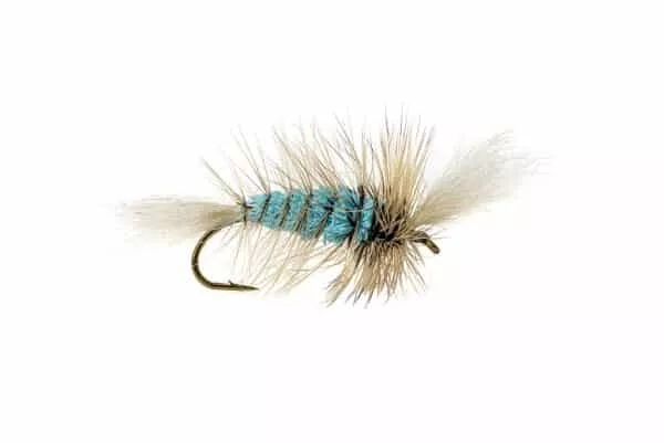 Wulff Pinta-Bomber - Image 6