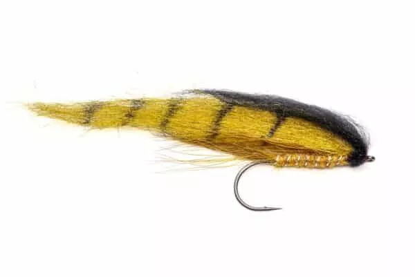 Perch Streamer fly