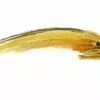Banana Fly on copper tube