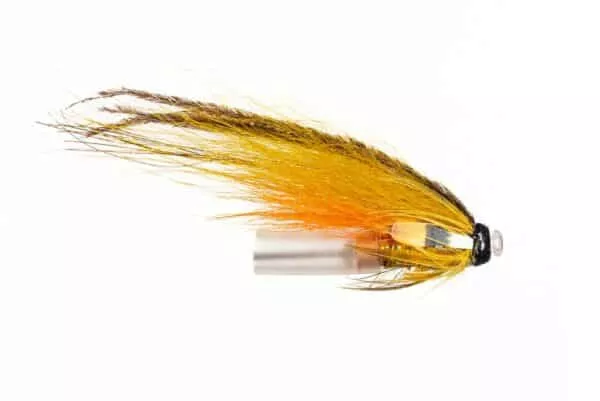 Banana fly tubefly on copper tube