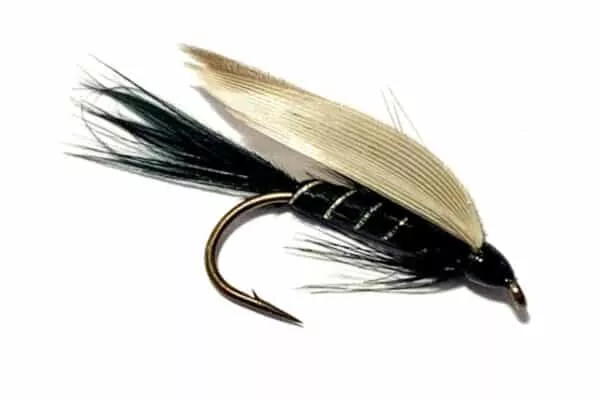 Black Gnat Classic Wet fly