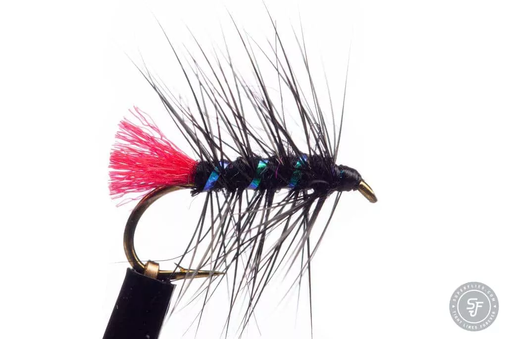 Black Zulu wetfly