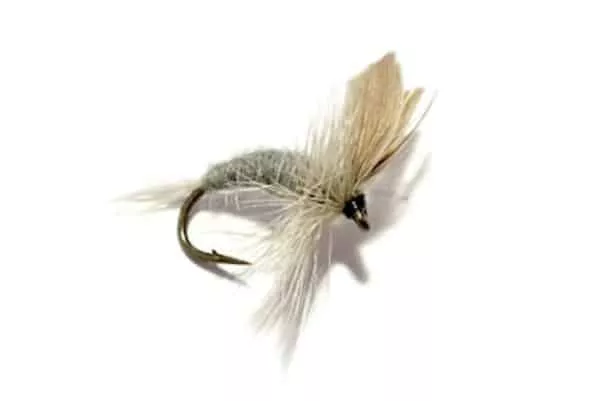 Blue Dun dry fly on strong hook