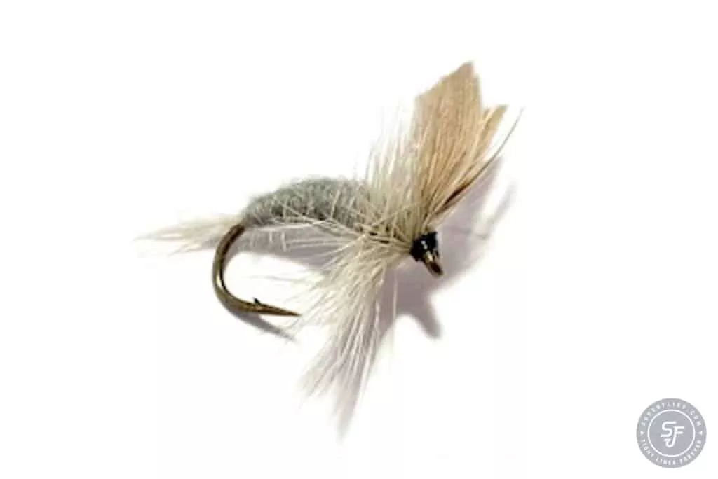 Blue Dun dry fly on strong hook