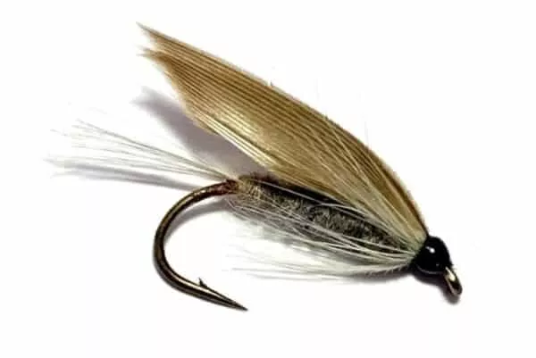 Blue Dun Wet fly