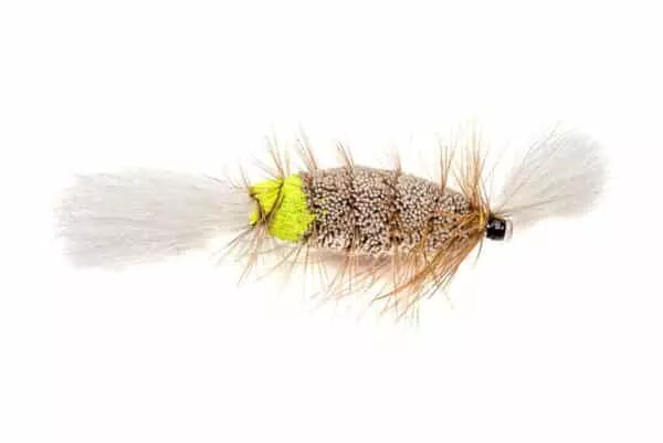 Cigar Bomber Tube fly with green butt