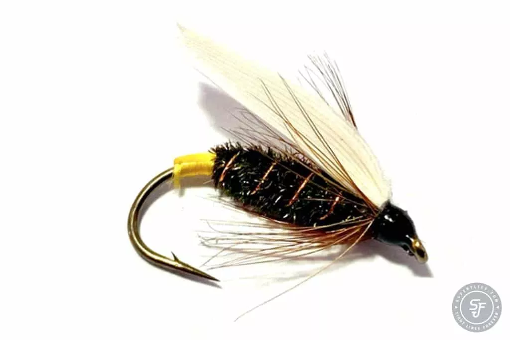 Coachman traditional wet fly