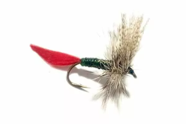 Grizzly King Dry Fly