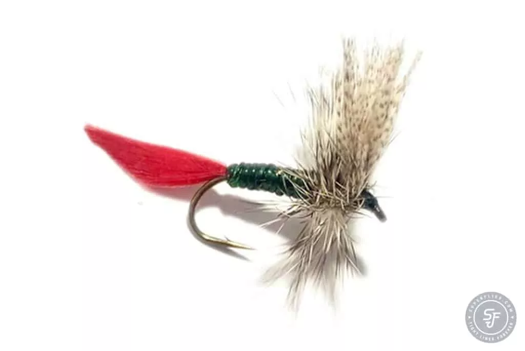 Grizzly King Dry Fly