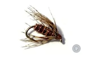 Partridge Softhackle wet fly