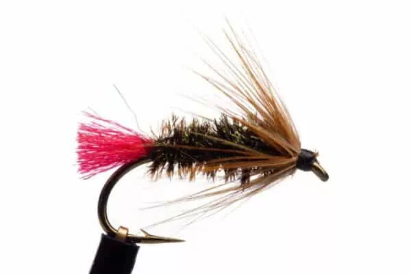 Red Tag wet fly