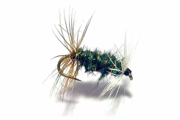 Renegade Dry Fly