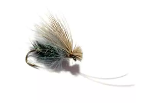 Elk hair caddis with cdc hackle