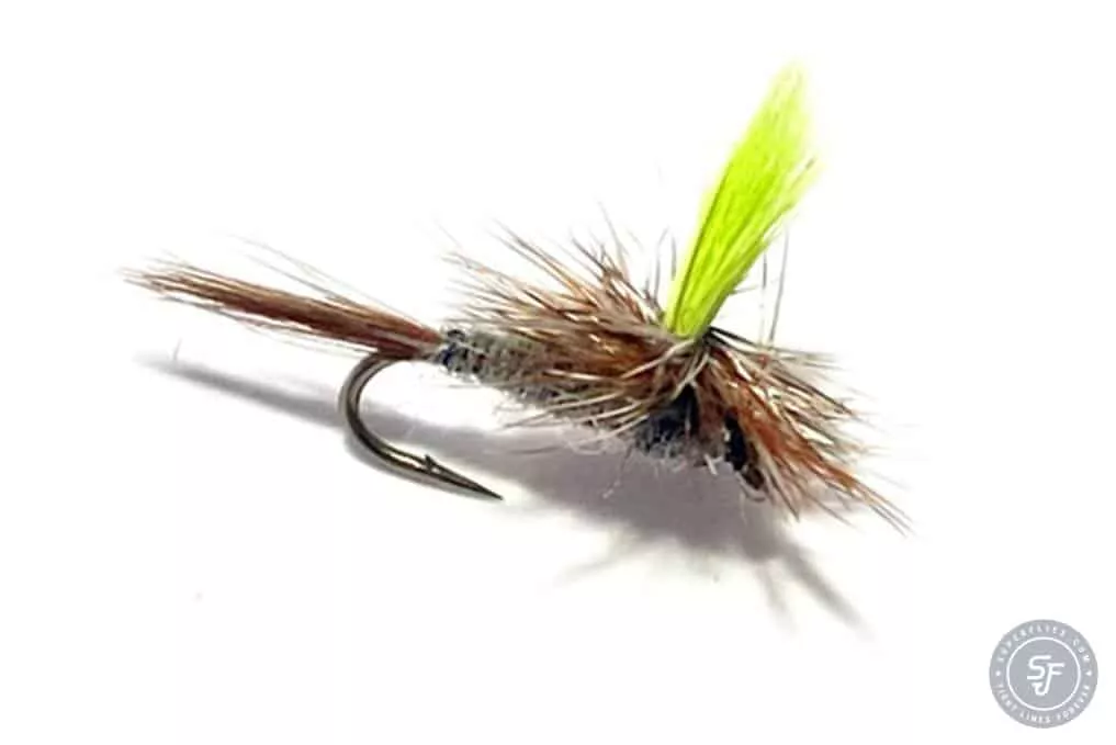 Parachute Adams hi-viz dry fly