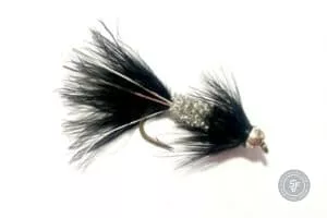 Dyrbitur leech fly