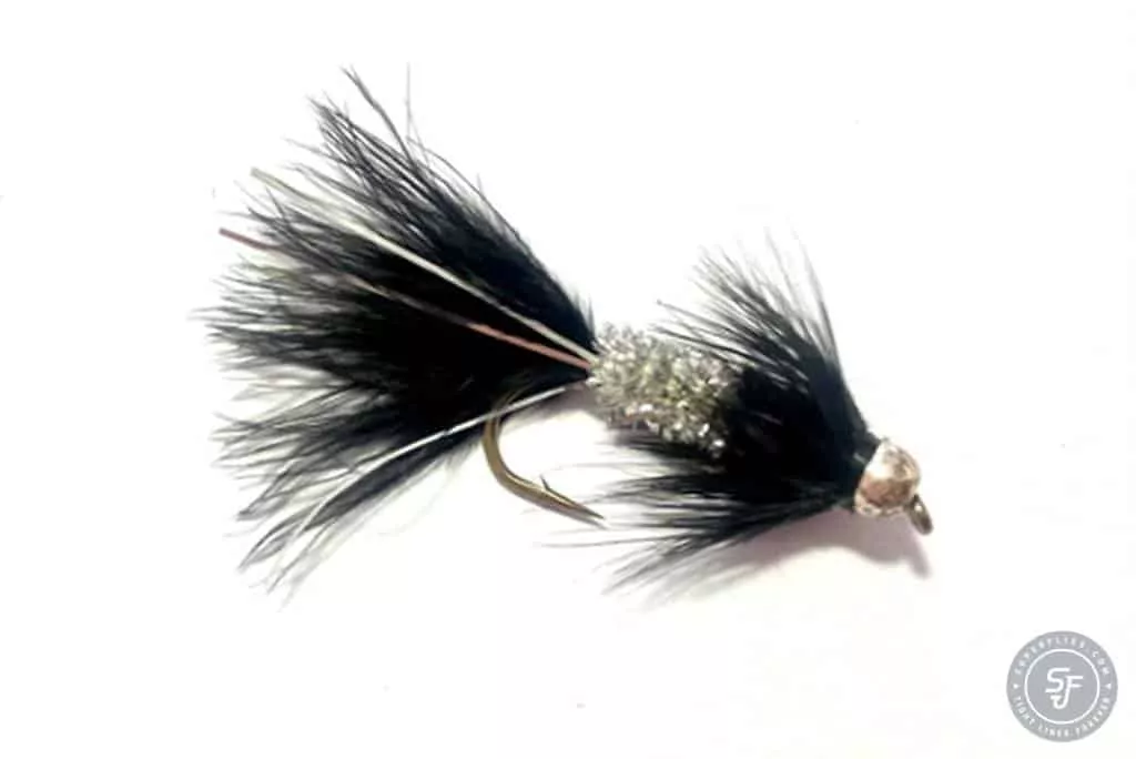 Dyrbitur leech fly