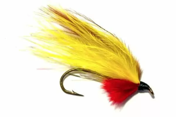 holmfridur streamer fly