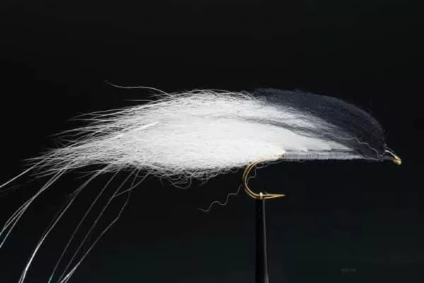 Black and White Fox Streamer fly