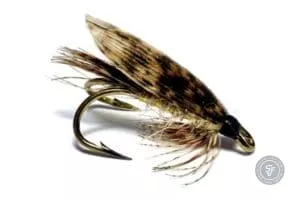 March Brown fly in double hook