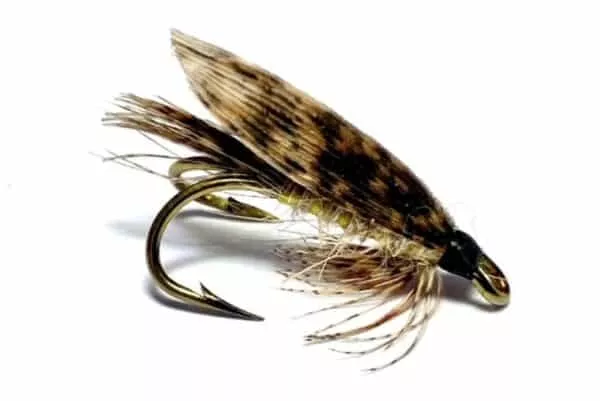 March Brown fly in double hook