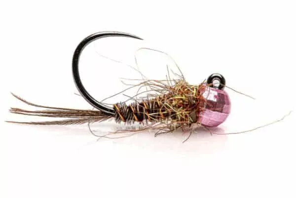 Pheasant tail jig fly