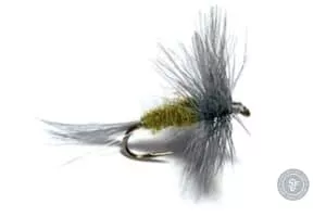 Blue winged olive dryfly