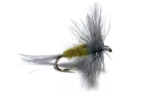 Blue winged olive dryfly