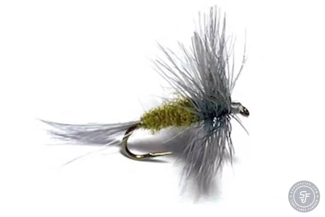 Blue winged olive dryfly