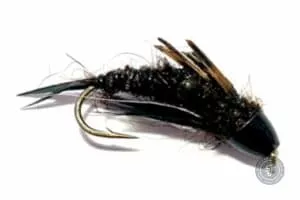 Beldars black stonfly nymp