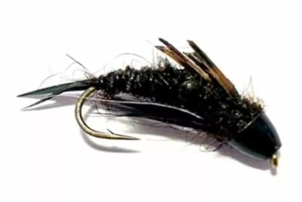 Beldars black stonfly nymp