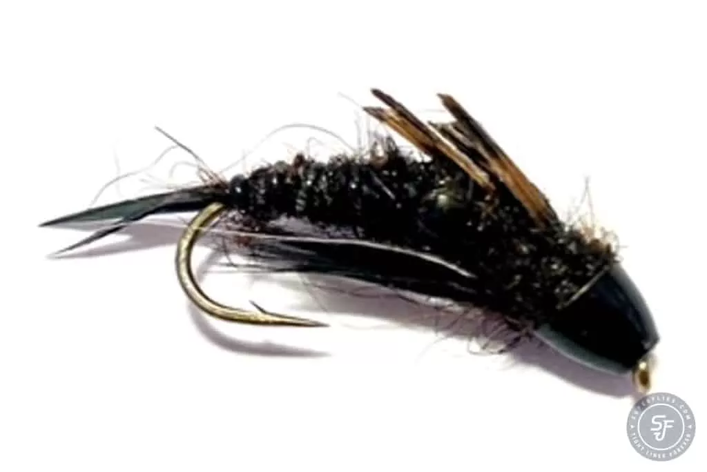 Beldars black stonfly nymp