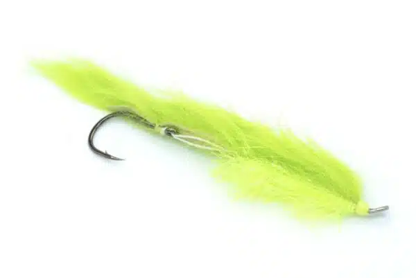 Rio Grande Leech - Image 4