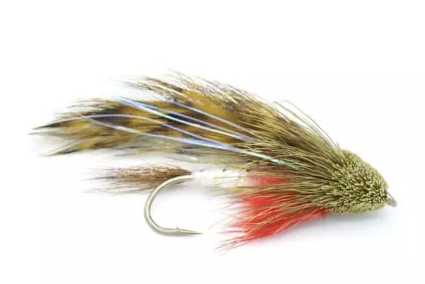 Spuddler Streamer fly in olive