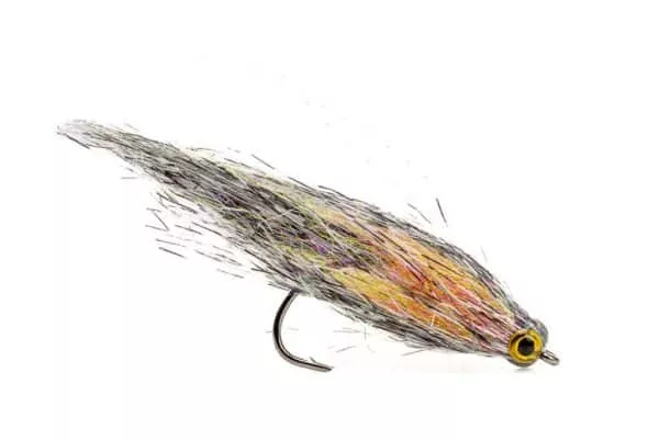 CF Baitfish Speckled - Image 2