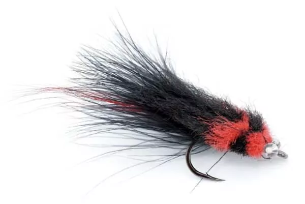 Tarpon Toad Slatwater fly in Black and Red