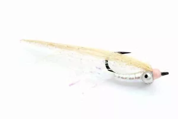 Gotcha Saltwater fly in black hook