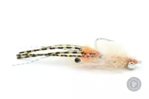 Spawing shrimp Saltwater fly