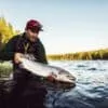 Summer flies for Torne, Lainio, Byske and Kalix rivers