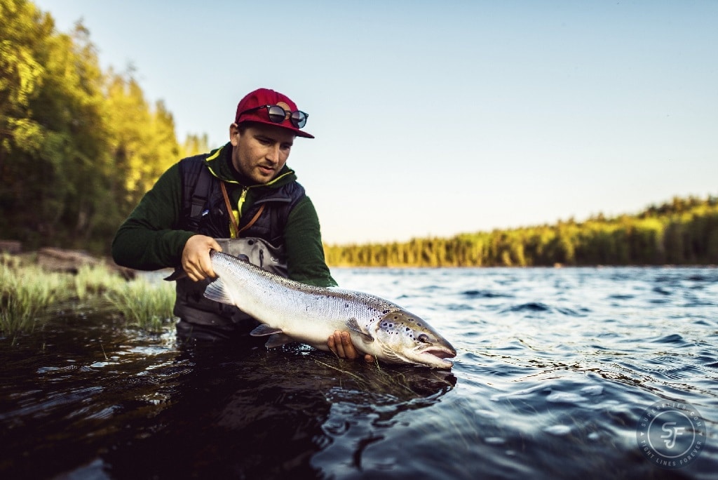 Aslak's Summer Flies for Torne River - Baltic Salmon flies