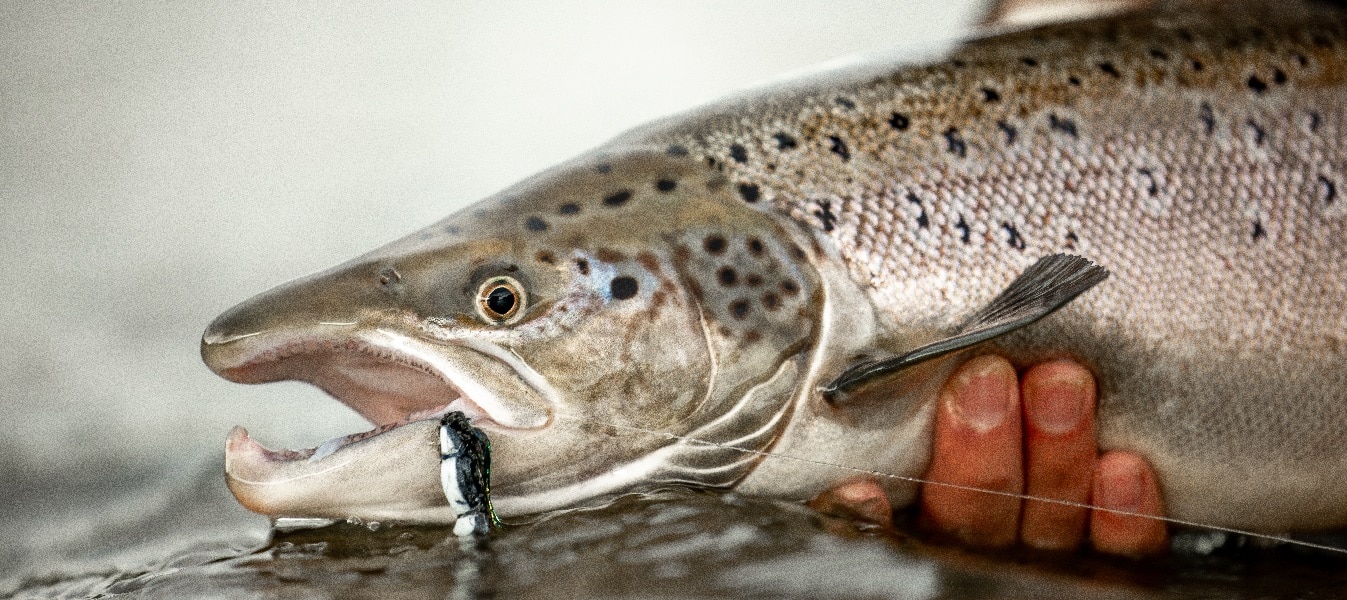 A peak inside Jyrki Hiltunen's fly box - Nymphs