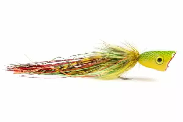 Double Barrel Popper Fly in Green and yellow