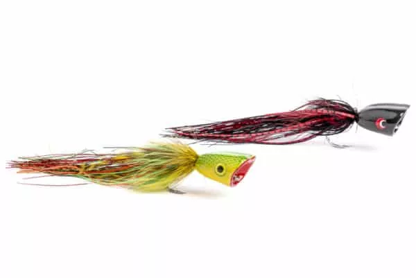 Double Barrel Popper flies