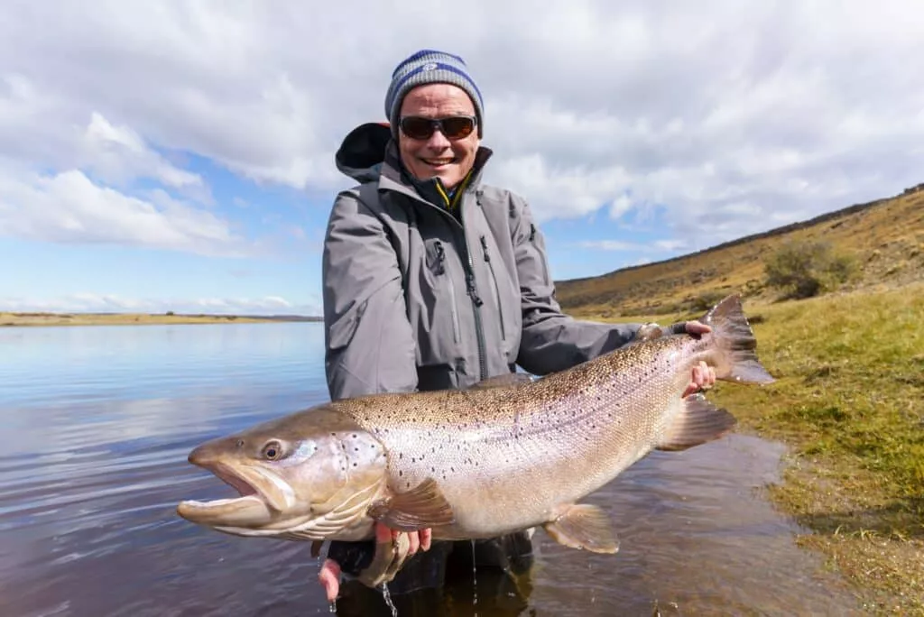 Argentina sea trout from Rio Gallegos