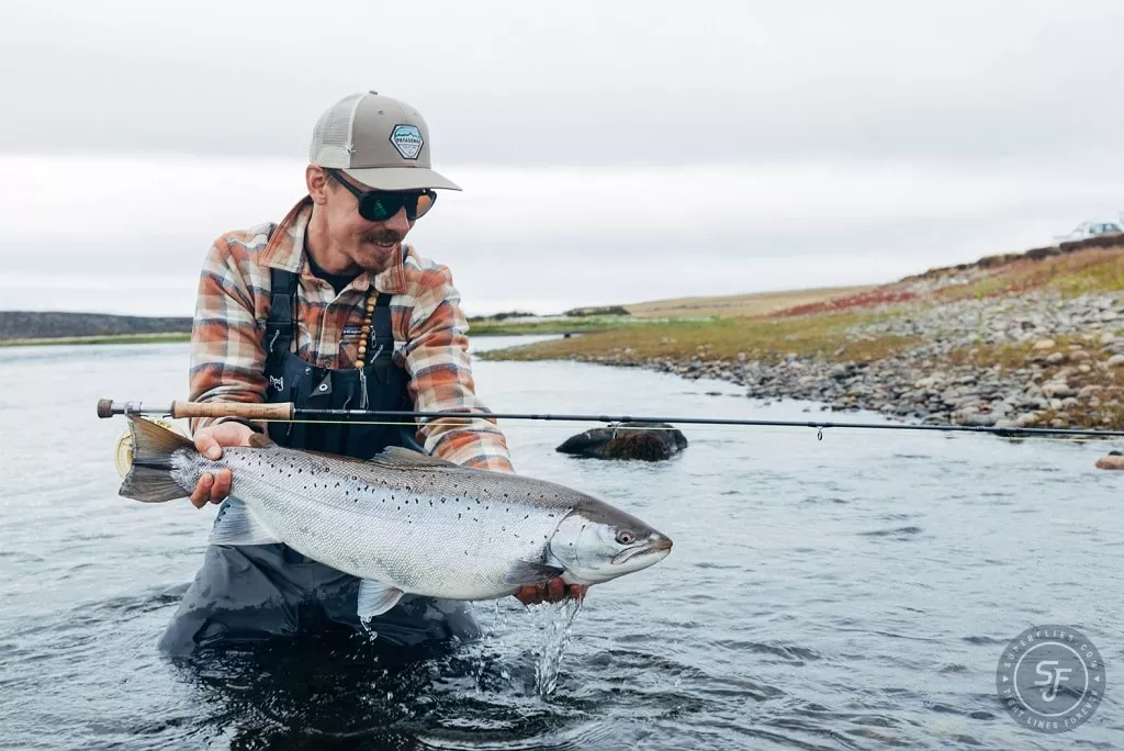 Rio Gallegos sea trout from Las Buitreras, Argentina