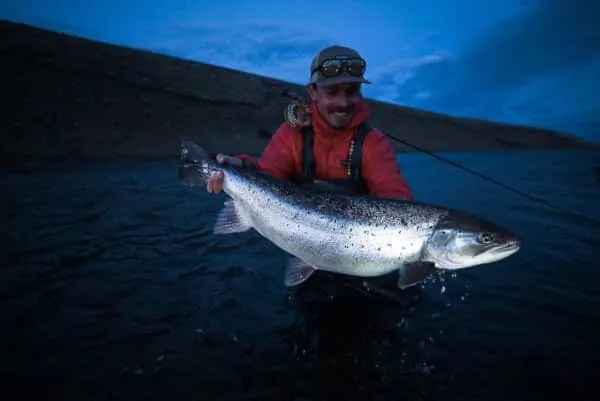 Argentina sea trout caught at nightfall