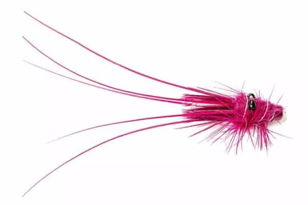 Black Eyed Prawn Pink Salmon fly on Tungsten tube