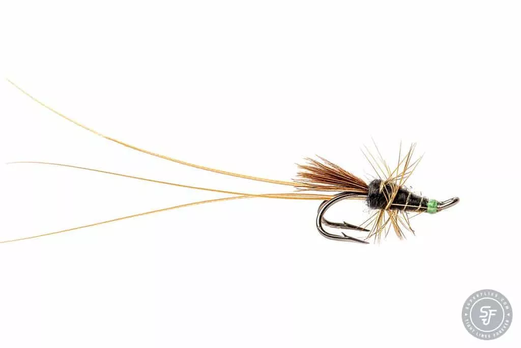 Frances black salmon fly on double hook