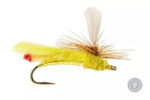 Headlight Sally Dryfly