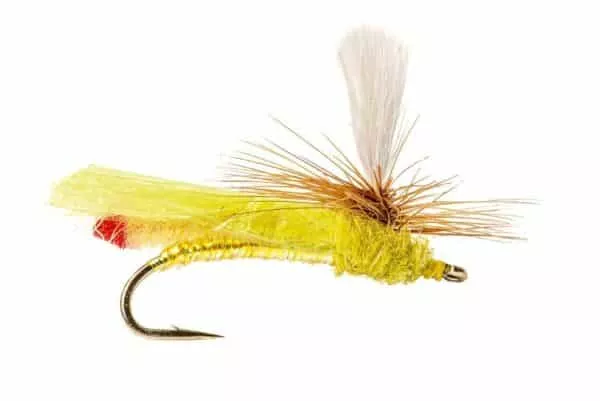 Headlight Sally Dryfly